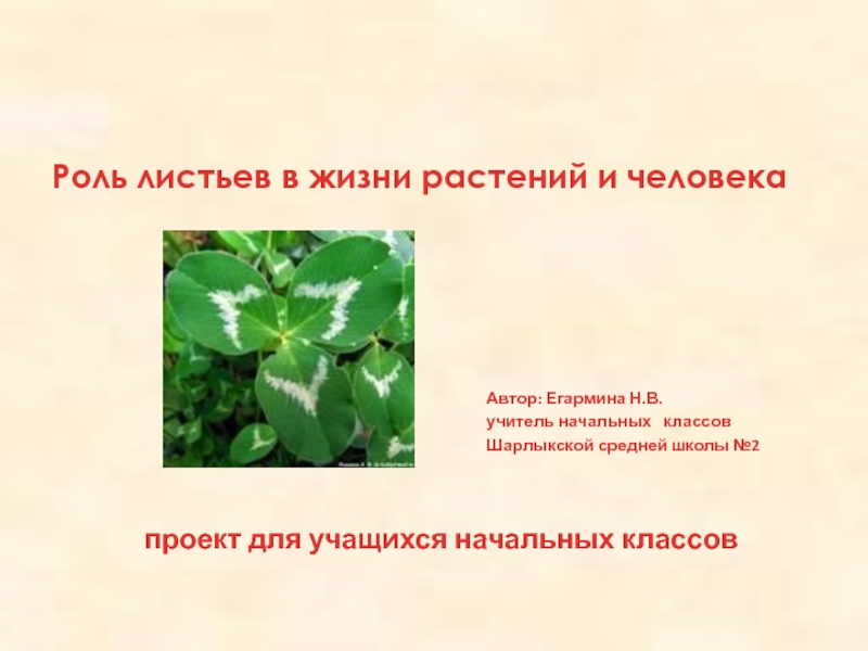 Презентация Роль листьев в жизни растений и человека