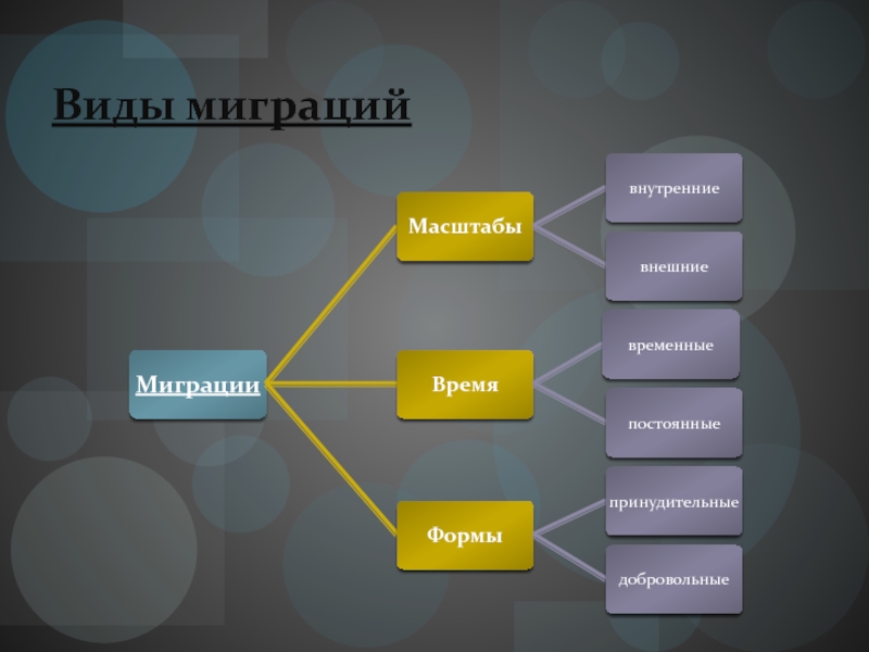 Виды миграции. Виды миграции в географии 10 класс. Миграции по масштабу. Виды миграции населения география 10 класс.