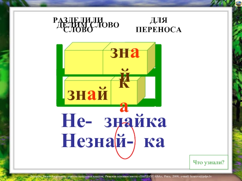 Вольер разделить для переноса