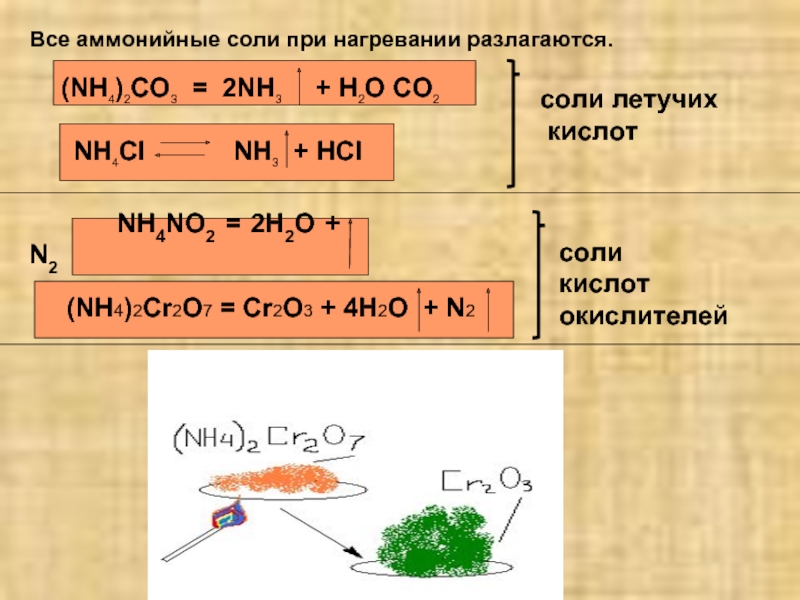 Nh4 2cr2o7 cr2o3 h2o