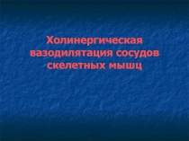 Холинергическая вазодилятация сосудов скелетных мышц