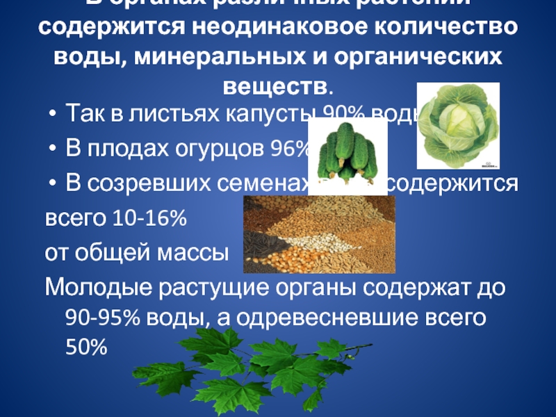 Химический состав растений. Химические вещества содержащиеся в растениях. Что содержится в растениях. Состав растения. Растения _________________. Содержится органическое вещество ______________________.