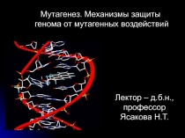Лектор – д.б.н., профессор Ясакова Н.Т