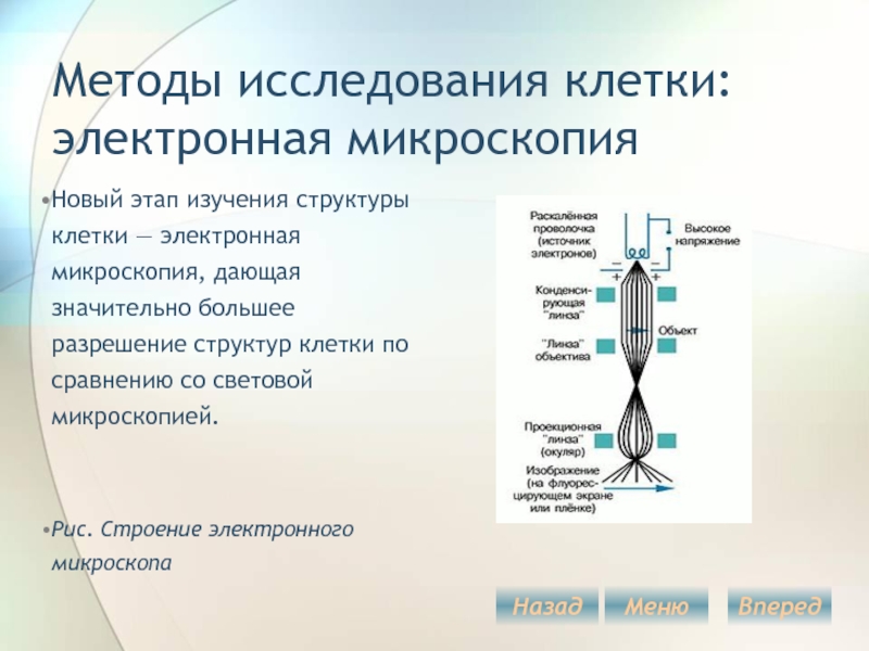 Технология исследования. Методы изучения клетки электронная микроскопия. Методы изучения клетки таблица биология 10 класс. Методы изучения клетки таблица 10 класс. Микроскопические методы изучения клетки.