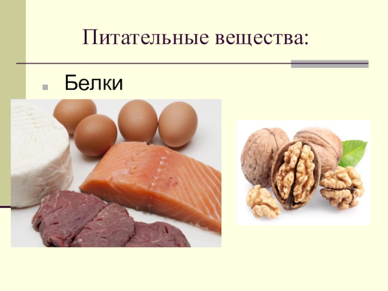 Виды питательных веществ. Питательные вещества. Пищевые вещества белки. Белкипещивые вещества. Питательные белки.