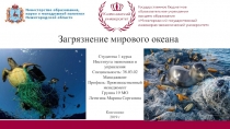 Княгинино
2019 г
Студентка 1 курса Института экономики и управления