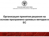  Организация принятия решения на основе программно-целевых методов в ЕС