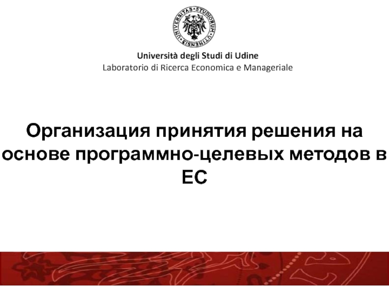  Организация принятия решения на основе программно-целевых методов в ЕС