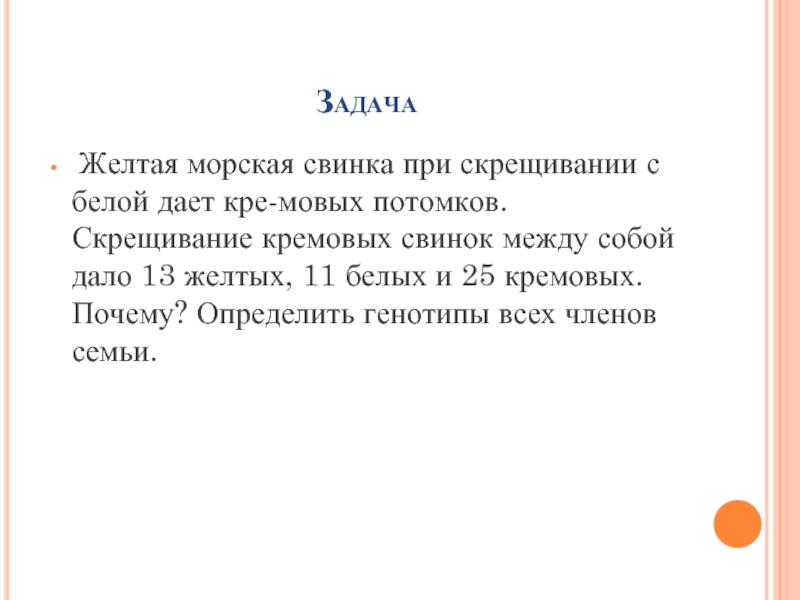 При скрещивании морских свинок. Жёлтая морская Свинка при скрещивании с белой даёт кремовых потомков. Желтая морская Свинка при скрещивании с белой. Скрещивание белой Свинка при скрещивании. При скрещивании белой морской свинки.