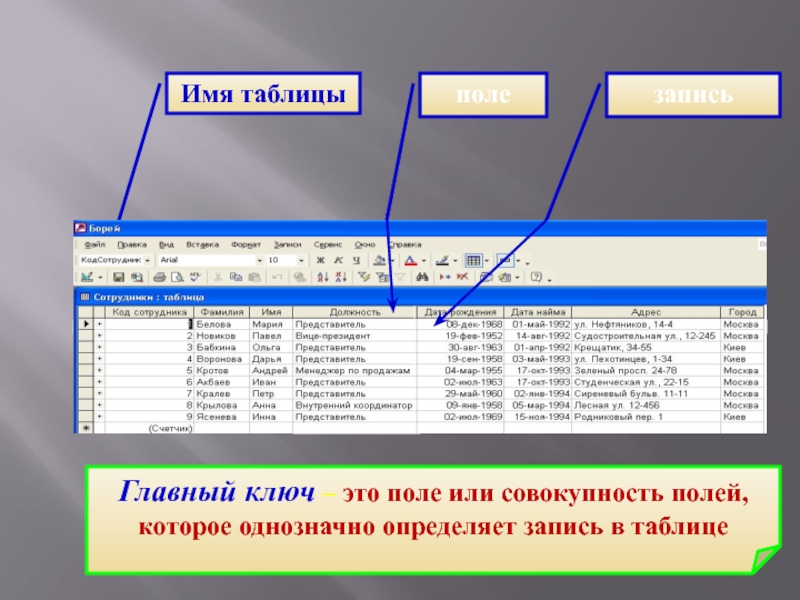 Поле значение. Поля таблицы. Поля и записи в таблице. Имена полей таблицы. Таблица для записи.