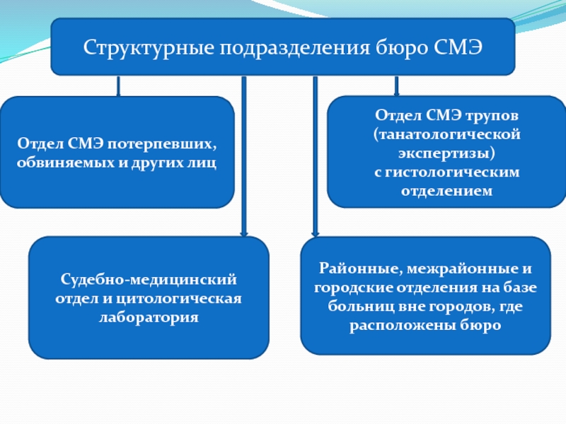 Социально медицинская экспертиза. Структурные подразделения бюро судебно медицинской экспертизы. Структура бюро СМЭ. Структура подразделений бюро судебно-медицинской экспертизы. Отделы судебно медицинского бюро.