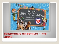 Бездомные животные – кто ОНИ ?