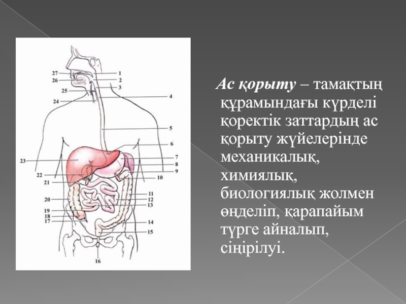 Ас қорыту жүйесінің жас ерекшеліктері презентация