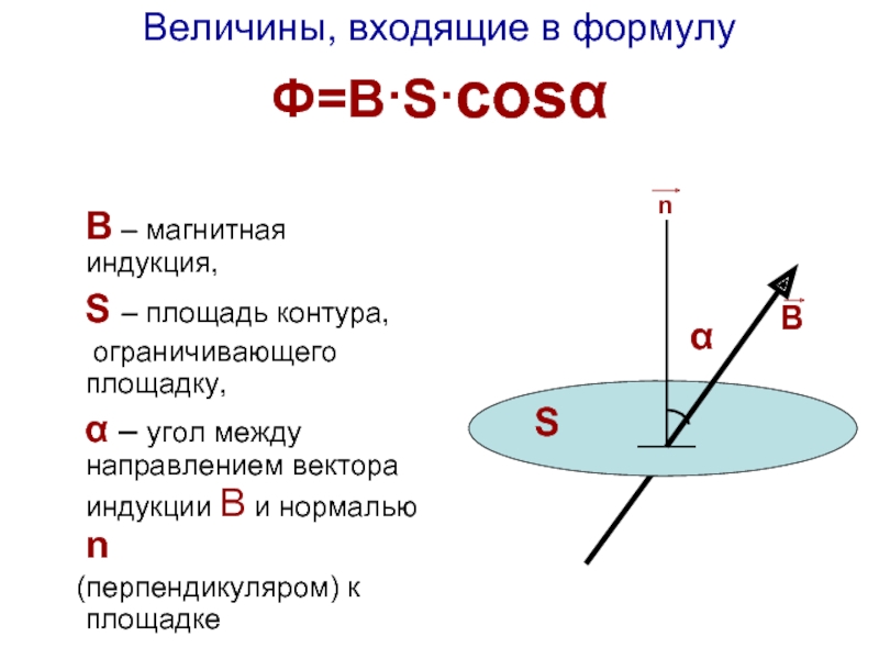 Величины, входящие в формулу  Ф=В·S·cosα