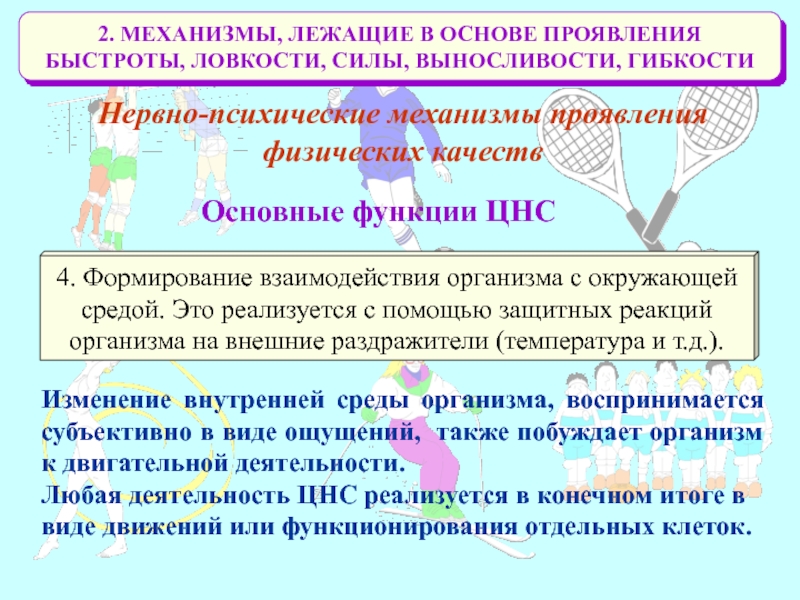 Механизм проявления. Двигательные физические способности это. Физиологические основы развития физических качеств. Основные физические двигательные качества. Формы проявления физических качеств.