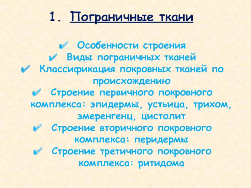 Пограничные ткани
Особенности строения
Виды пограничных тканей
Классификация