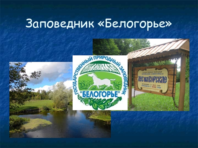 Белогорье белгород карта