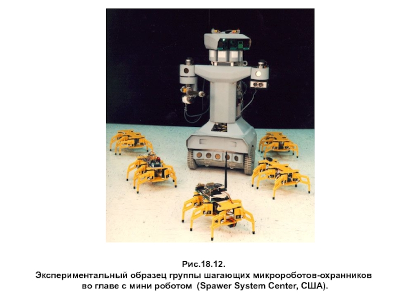 Экспериментальные образцы это образцы