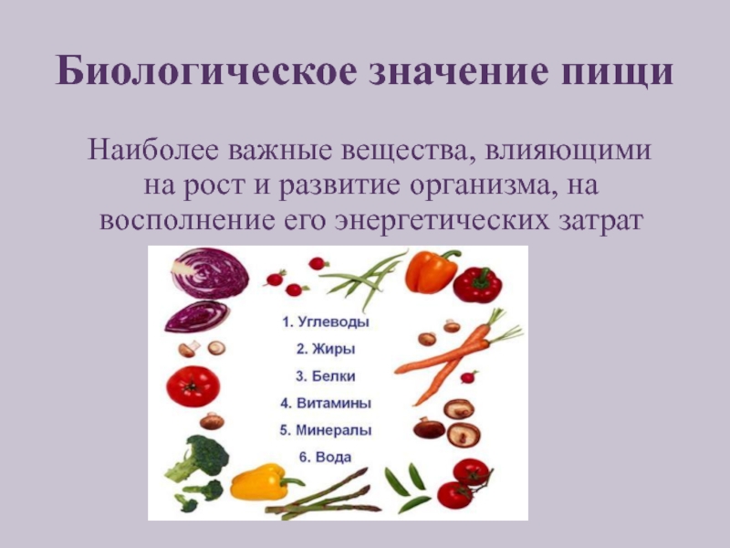 Физиология питания 7 класс