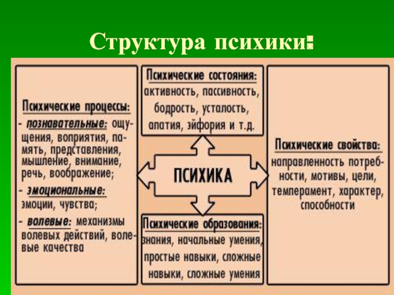 Структура психики схема