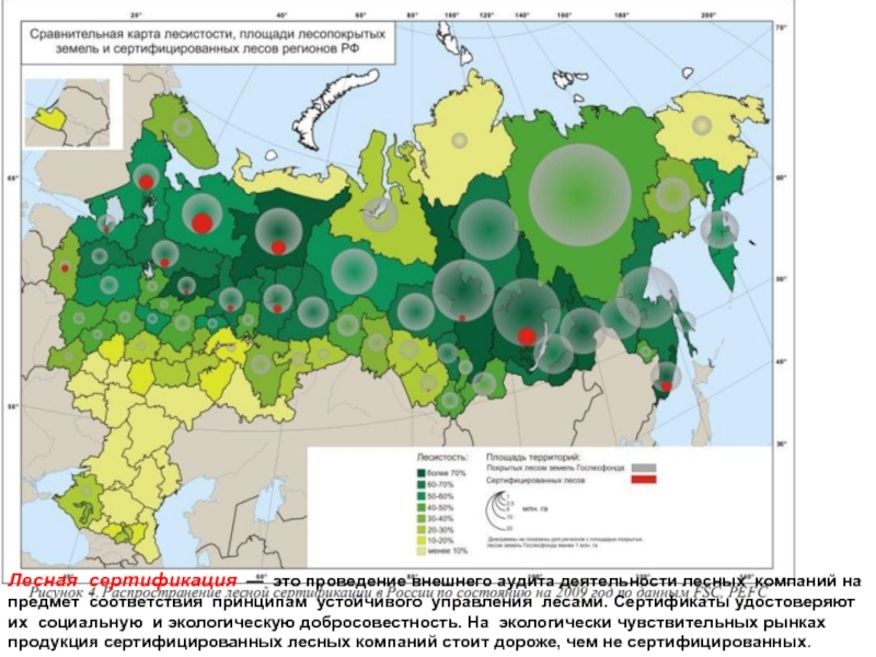 Карта лесистости мира