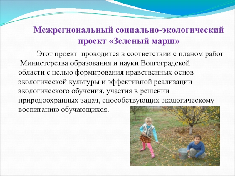 Социально экологические проекты