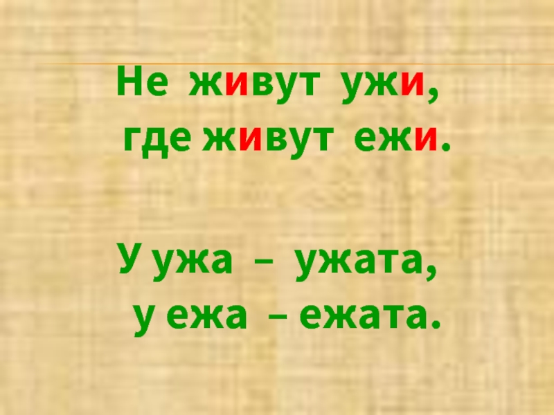 Картинка к скороговорке у ежа ежата у ужа ужата