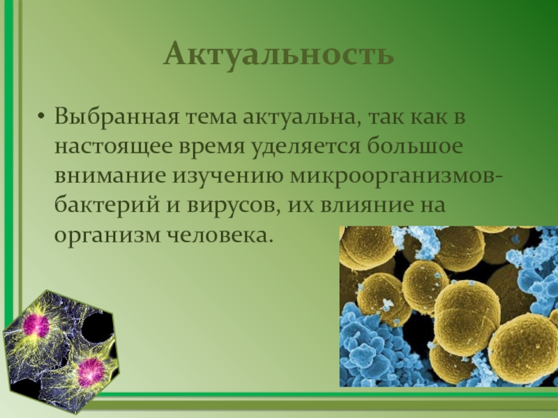 Вывод о разнообразии форм тела бактерий. Актуальность вирусов и бактерий. Актуальность темы вирусы. Актуальность темы вирусы в биологии. Бактерии актуальность темы.