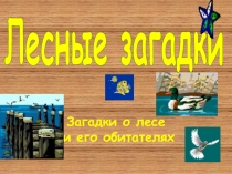 Загадки о лесе и его обитателях