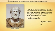 Аристотель
Периодизация и продолжительность жизни животных
Эмбрион образуется