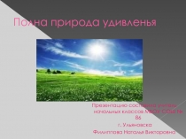 Полна природа удивленья 1 класс