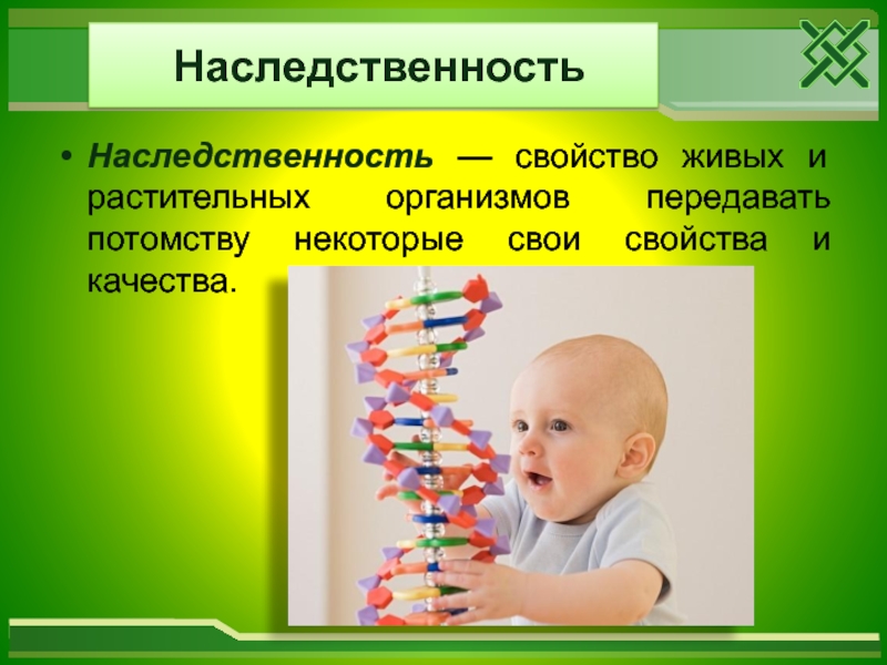 Наследственность и патология презентация