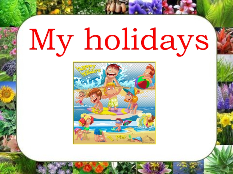 My holidays