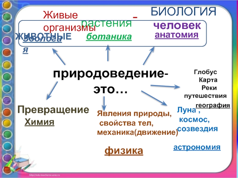 Презентация природоведение 5 класс 8 вид