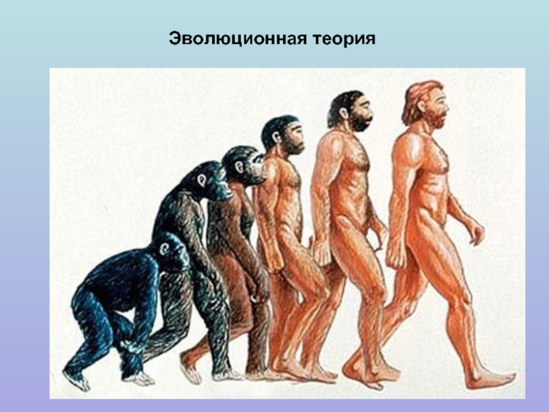 Эволюционная теория