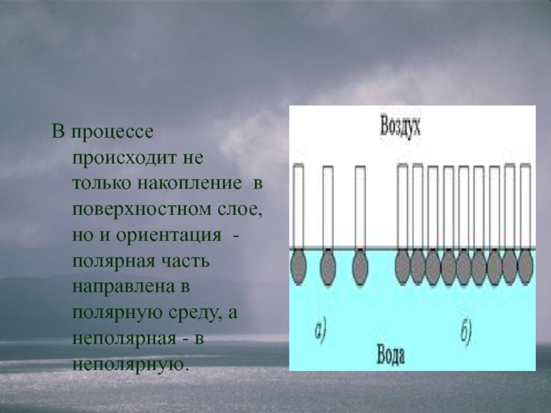 Температура в поверхностном слое. Полярная фаза. Полярная и неполярная фаза. Полярные и неполярные неподвижные фазы. Неполярные жидкости.