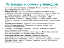 Углеводы и обмен углеводов