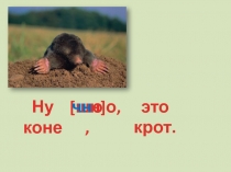 От слов к тексту