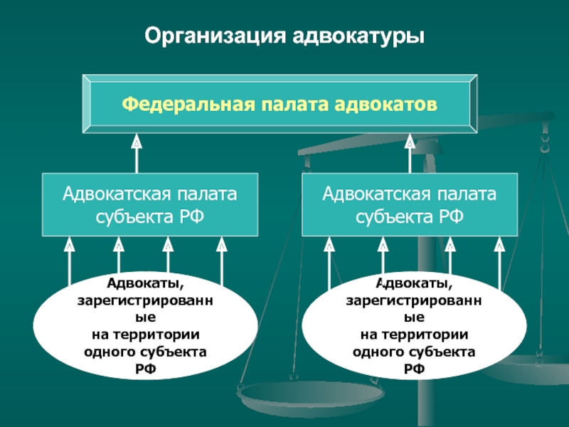 Схема органов адвокатуры