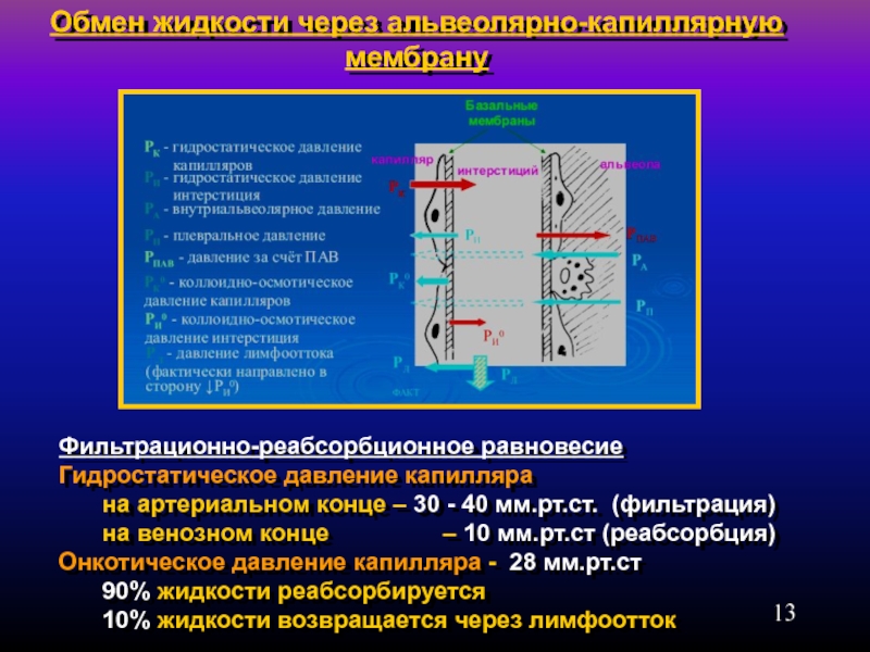 Давление на артериальном конце капилляра. Капиллярное гидростатическое давление. Гидростатическое и осмотическое давление капилляров. Фильтрационно реабсорбционное равновесие.