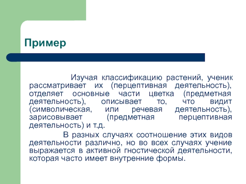 Изучи примеры. Изучать примеры. Освоить примеры. Что можно изучать примеры. Ученики рассматривают растение.