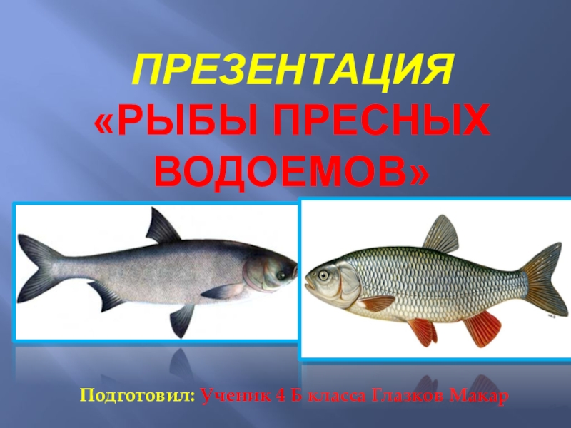 Презентация Рыбы пресных водоёмов