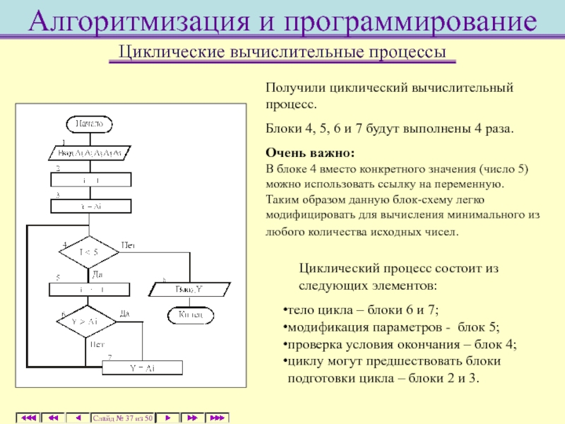 Контрольная работа по информатике базовые понятия алгоритмизации. Блок схема линейного вычислительного процесса. Блок схема на циклические процессы в информатике. Циклический вычислительный процесс блок схема. Алгоритмизация вычислительного процесса.