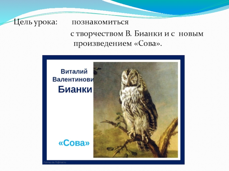 Произведение бианки сова. В Бианки Сова 2 класс. Произведение Сова. Сова для презентации. Презентация Бианки Сова.