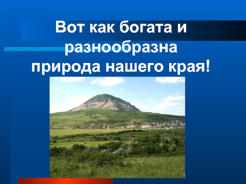 Разнообразие природы ставропольского края проект