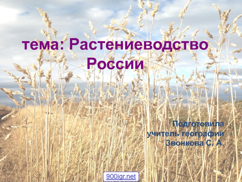 Презентация Растениеводство России 6-7 класс