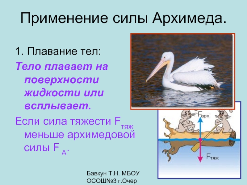 Применение силы. Сила Архимеда для плавающих тел на поверхности. Архимедова сила и водоплавающие птицы. Применение силы одним словом.