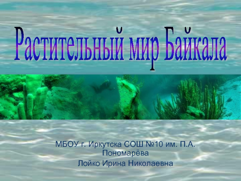Растительный мир Байкала 