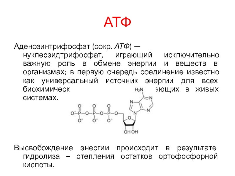 Клетка содержит атф. Строение молекулы АТФ. Химическая структура АТФ. Функции АТФ биохимия. Макроэргические нуклеозидтрифосфаты.