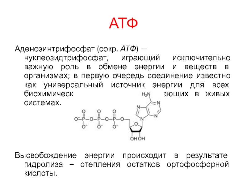 Атф егэ